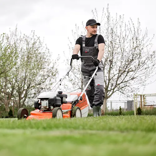 Professioneller Gärtner in Schutzkleidung mäht grünen Rasen mit einem modernen schnurlosen Benzinrasenmäher im Garten.